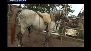 Horse Xxx Www 3g - horse and galis xvideos - desiporn.watch